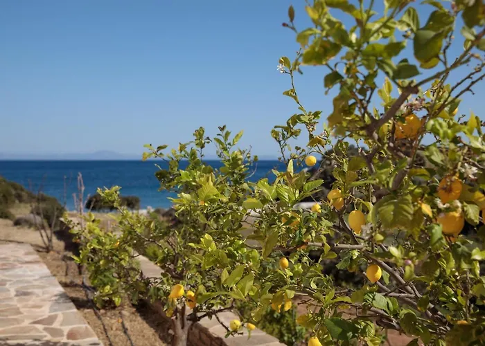 Apiliotis Sunrise Villa Ligaridia